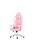 Meetion CHR16 Gaming Chair